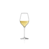 Set of 6 Sparkling Glasses 290ml - Masterclass 28