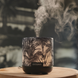 Perfume Mist Diffuser Black - Black Jungle