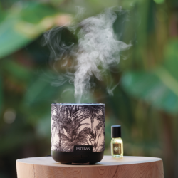 Perfume Mist Diffuser Black - Black Jungle