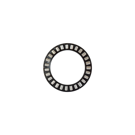 Axial roller cage for AYP