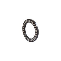 Axial roller cage for AYP