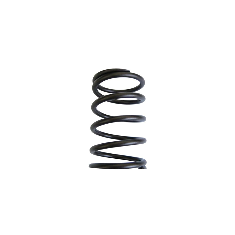 plunger spring 3.0x29x40 for AZ pump plunger spring 3.0x29x40 for AZ pump