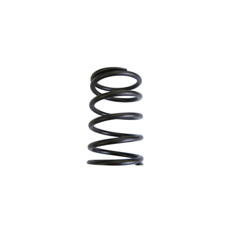 plunger spring 3.0x29x40 for AZ pump