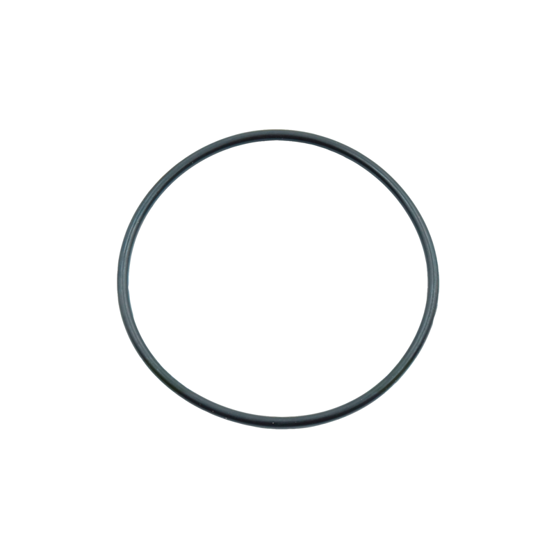 O-Ring 21 x 1.5