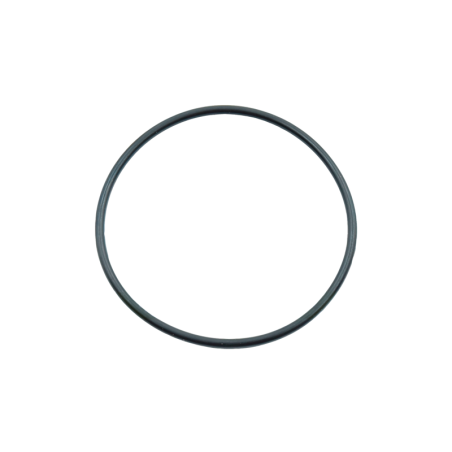 O-Ring 21 x 1.5