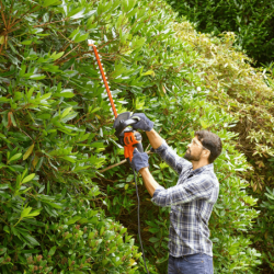 Aparador de cercas elétrico com SAWBLADE 60cm 600W BLACK DECKER
