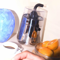 Electric Citrus Squeezer - Toru