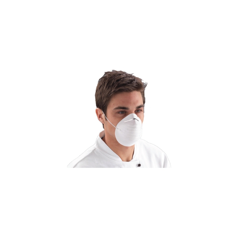 CHEMITOOL Non-woven Polypropylene Hygiene Mask