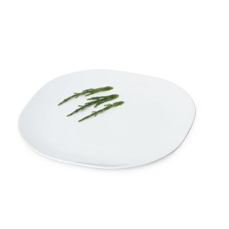 DINNER PLATE SINGLE SKUPORCELAIN