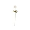 Haste Artificial Pompom Branco 36,5cm - Deko