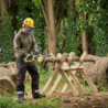STANLEY V20 Li-Ion 18V Brushless Chainsaw 30cm