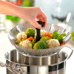 Steam Insert - Vitala