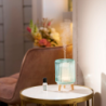 Perfume Mist Diffuser Sea Green - So Retro