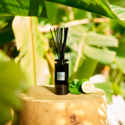 Scented Bouquet and Refill 100ml - Eau d’Amazonie