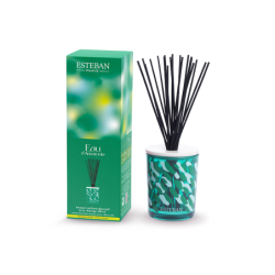 Decorative Scented Bouquet and Refill 100ml - Eau d’Amazonie