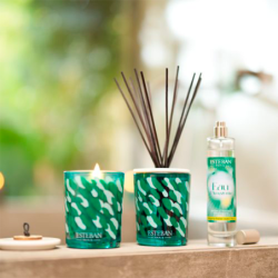 Decorative Scented Bouquet and Refill 100ml - Eau d’Amazonie