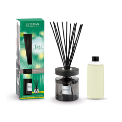 Scented Bouquet and Refill 200ml - Eau d’Amazonie