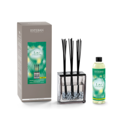 Scented Bouquet Triptyque and Refill 250ml - Eau d’Amazonie