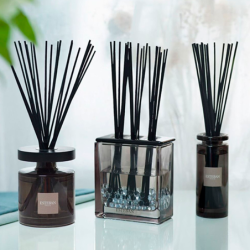 Scented Bouquet Triptyque and Refill 250ml - Eau d’Amazonie