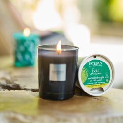 Refill for Scented Candles 180gr - Eau d'Amazonie