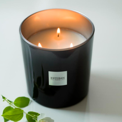 Refillable Scented Candle 450gr - Eau d'Amazonie