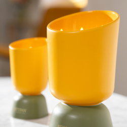 Refillable Scented Candle 220gr Ambre - Iconic Color