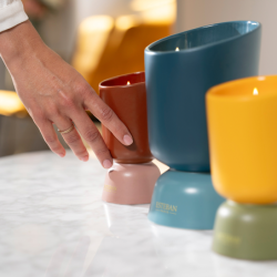 Refillable Scented Candle 220gr Ambre - Iconic Color