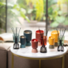 Scented Bouquet and Refill 250ml Ambre - Iconic Color