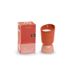 Refillable Scented Candle 220gr Teck and Tonka - Iconic Color