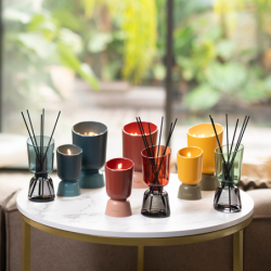 Refillable Scented Candle 220gr Teck and Tonka - Iconic Color