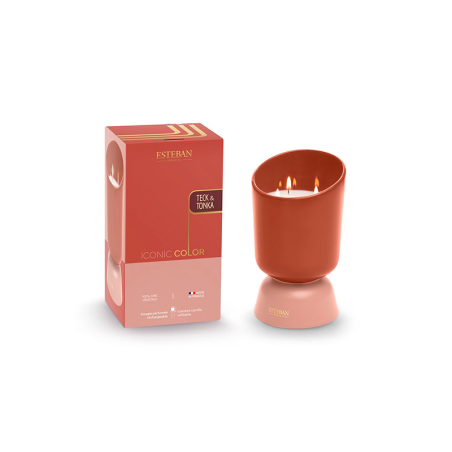 Refillable Scented Candle 700gr Teck and Tonka - Iconic Color