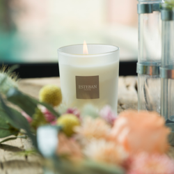 Refillable Scented Candle 180gr Amber & Balms - Nature Universe