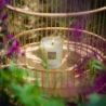 Refillable Scented Candle 180gr Amber & Balms - Nature Universe