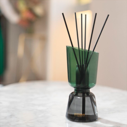 Scented Bouquet and Refill 250ml Neroli - Iconic Color