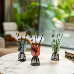 Scented Bouquet and Refill 250ml Pur Lin - Iconic Color