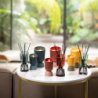 Scented Bouquet and Refill 250ml Pur Lin - Iconic Color