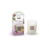 Refillable Scented Candle 180gr - Garrigue Fig Tree