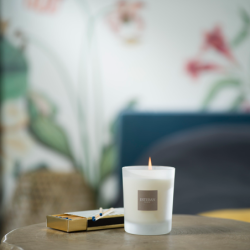 Refillable Scented Candle 180gr - Garrigue Fig Tree