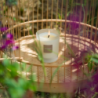 Refillable Scented Candle 180gr - Garrigue Fig Tree