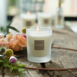 Refillable Scented Candle 180gr - Garrigue Fig Tree