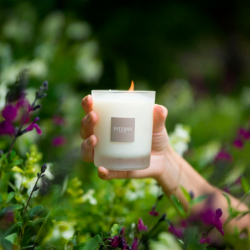 Refillable Scented Candle 180gr Summer Jasmine - Nature Universe