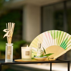 Fan and Spray 30ml Lemongrass and Mint - Nature Universe