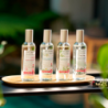 Spray Perfumado 100ml Citronela e Menta - Nature Universe