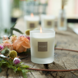 Refillable Candle 180gr Vineyard Peach - Nature Universe