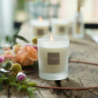 Refillable Candle 180gr Vineyard Peach - Nature Universe
