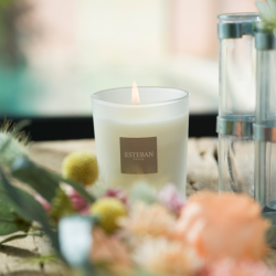 Refillable Candle 180gr Vineyard Peach - Nature Universe