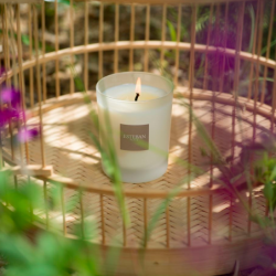 Refillable Candle 180gr Vineyard Peach - Nature Universe