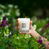 Refillable Candle 180gr Vineyard Peach - Nature Universe