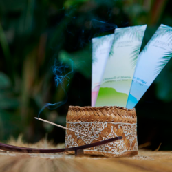 Indian Incenses Lemongrass and Mint - Nature Universe