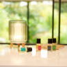 Concentrado de Perfume 15ml Citronela y Menta - Nature Universe